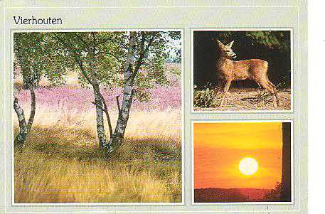 Oude foto's Vierhouten kleur 1